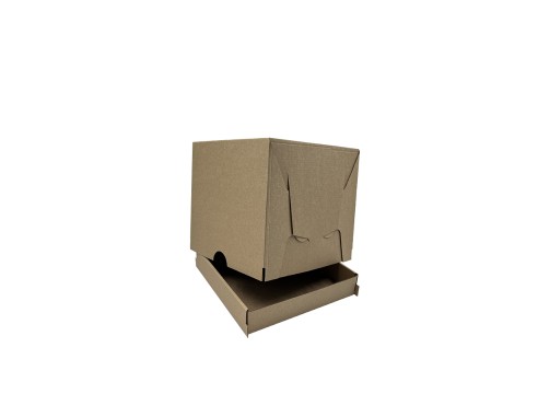 Cake boxes of 2 pieces, pack of 10