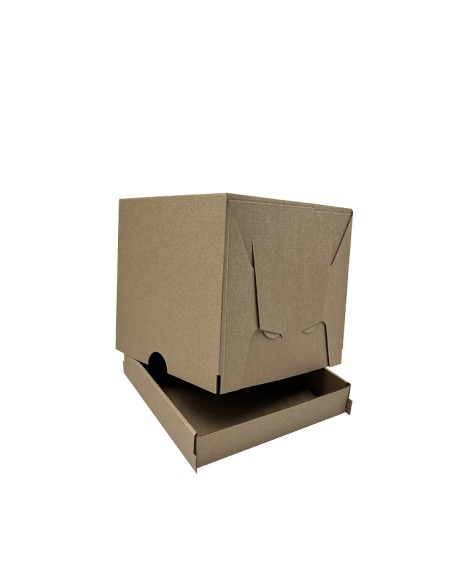 Cake boxes of 2 pieces, pack of 10