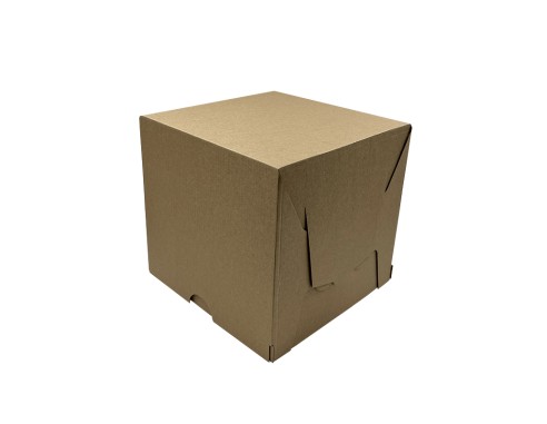 Cake boxes of 2 pieces, pack of 10