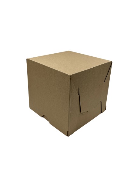 Cake boxes of 2 pieces, pack of 10