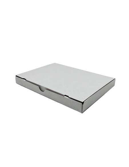 Pārvadājumu kaste 225x170x19mm, iepakojumā/par 10gab.
