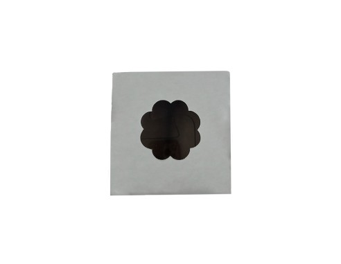 Kūku kaste ar logu/P21/100x100x60mm...